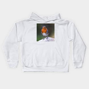 Robin Kids Hoodie